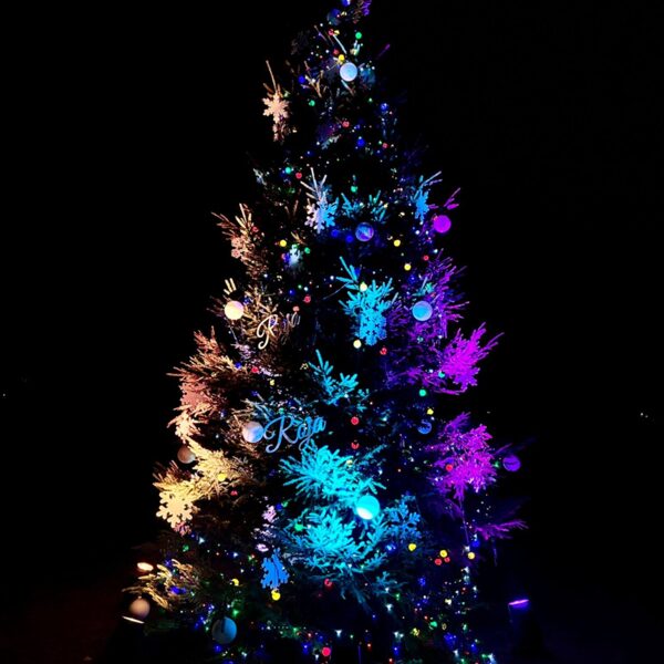 Egles iedegšana Kaltenē un Rojā 2025